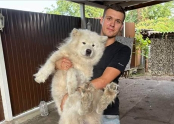 Нова пошта знайшла собаку, якого вигнали із відділення в Івано-Франківську (ФОТО)