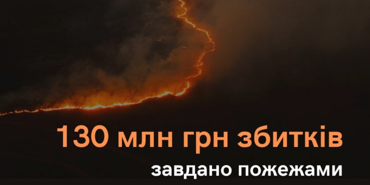 130 млн.грн. збитків завдано пожежами у природних екосистемах Миколаївщини через військові дії