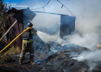 На Миколаївщині за добу горіло на 30 га