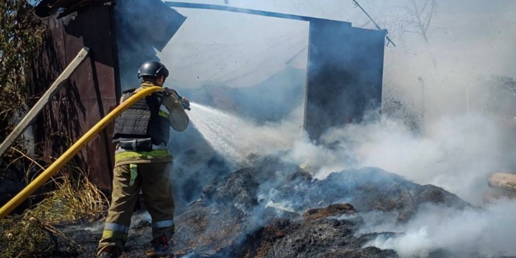 На Миколаївщині за добу горіло на 30 га