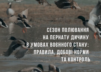 У чотирьох регіонах України дозволено полювання на пернату дичину – Миколаївщина серед них