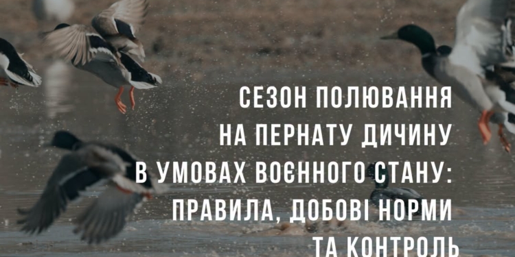 У чотирьох регіонах України дозволено полювання на пернату дичину – Миколаївщина серед них
