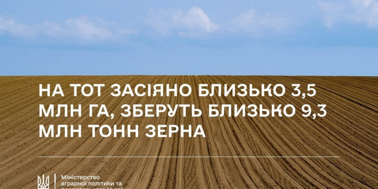 Вкрадений врожай: на тимчасово окупованих територіях засіяно близько 3,5 млн га, потенційно зберуть 9,3 млн тонн