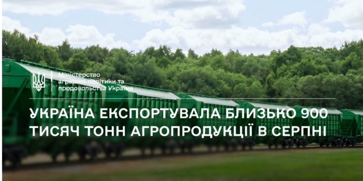 Україна експортувала в серпні лише близько 900 тисяч тонн агропродукції – це 30% від можливостей