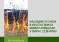 Понад 814 млн.грн. збитків довкіллю – наслідки пожеж через російські обстріли в екосистемах Миколаївщини у липні-2026