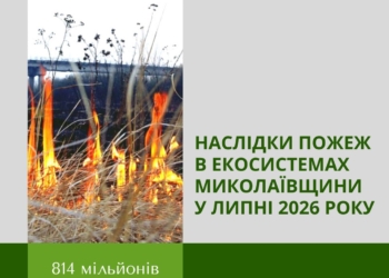 Понад 814 млн.грн. збитків довкіллю – наслідки пожеж через російські обстріли в екосистемах Миколаївщини у липні-2026
