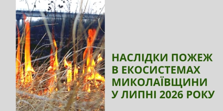 Понад 814 млн.грн. збитків довкіллю – наслідки пожеж через російські обстріли в екосистемах Миколаївщини у липні-2026