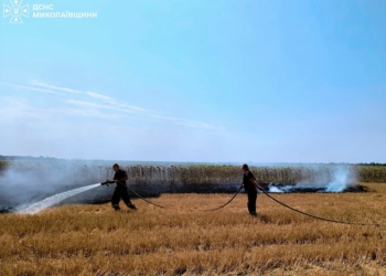 Знов 48 пожеж за добу на Миколаївщині – горіли будинки, ліс, пшениця… (ФОТО)