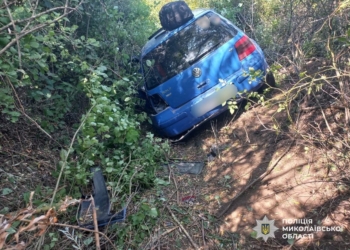 На Миколаївщині 39-річний водій не впорався з керуванням та вилетів з дороги, постраждав підліток (ФОТО)