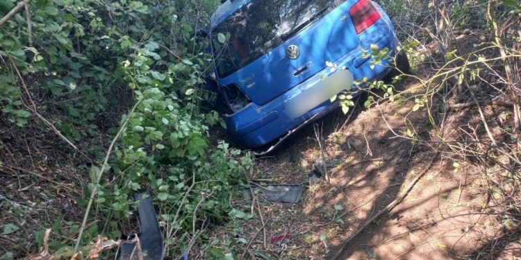 На Миколаївщині 39-річний водій не впорався з керуванням та вилетів з дороги, постраждав підліток (ФОТО)