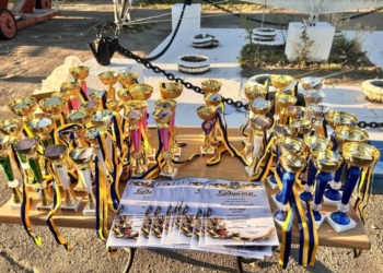 Юні яхтсмени з Миколаєва здобули 8 нагород чемпіонату України (ФОТО)