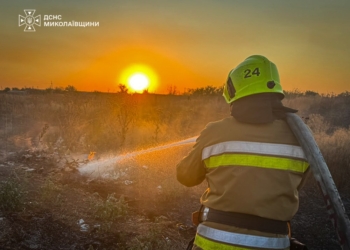 На Миколаївщині протягом доби гасили 40 пожеж. Що горіло