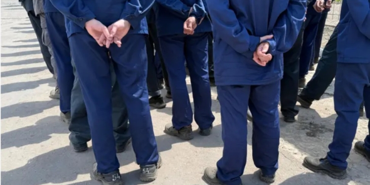 Без примусу. Проти України на фронті воюють чоловіки з окупованих територій. Що кажуть про війну