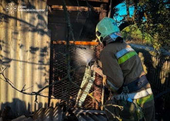 На Миколаївщині гасили 37 пожеж. Що горіло (ФОТО)