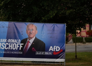 Політичний злам у Німеччині – на виборах у Саксонії-Ангальт AfD здобуває рекордні 44,5%, – екзитпол