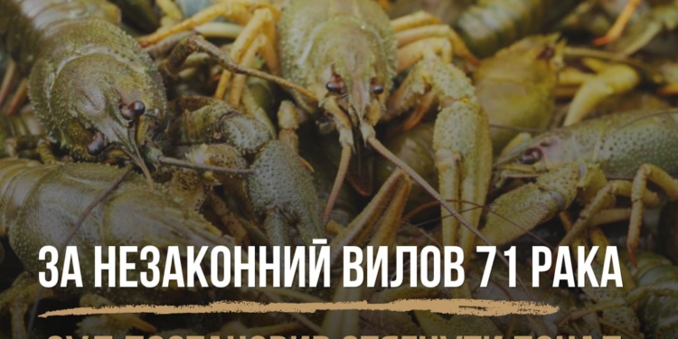 За незаконний вилов 71 рака за рішенням суду мешканець Миколаївщини компенсує понад 136 тис.грн. збитків