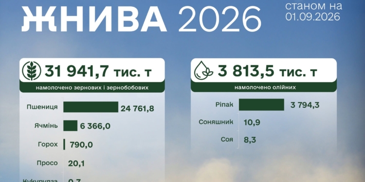 Жнива-2026. Аграрії намолотили 32 млн тонн зернових та зернобобових