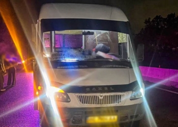 На Миколаївщині пасажирський автобус збив велосипедиста (ФОТО)