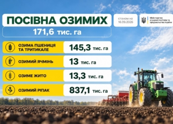 В Україні розпочалася посівна озимих зернових культур