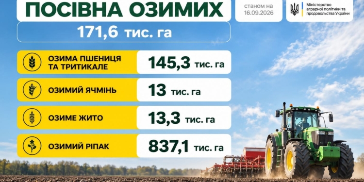 В Україні розпочалася посівна озимих зернових культур