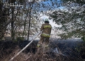 Із 11 пожеж на Миколаївщині за добу три було через ворожі обстріли