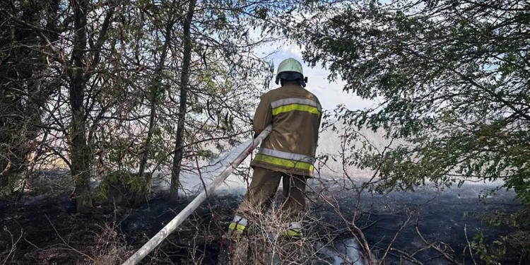 Із 11 пожеж на Миколаївщині за добу три було через ворожі обстріли