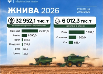 Українські аграрії намолотили 33 млн тонн зернових і зернобобових культур та понад 6 млн тонн олійних