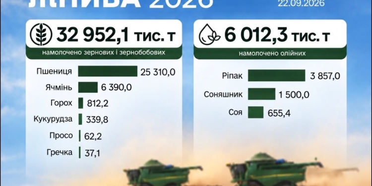 Українські аграрії намолотили 33 млн тонн зернових і зернобобових культур та понад 6 млн тонн олійних