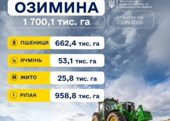Посівна озимих культур: зерновими засіяно 14% прогнозованої площі, ріпаком – майже 87%