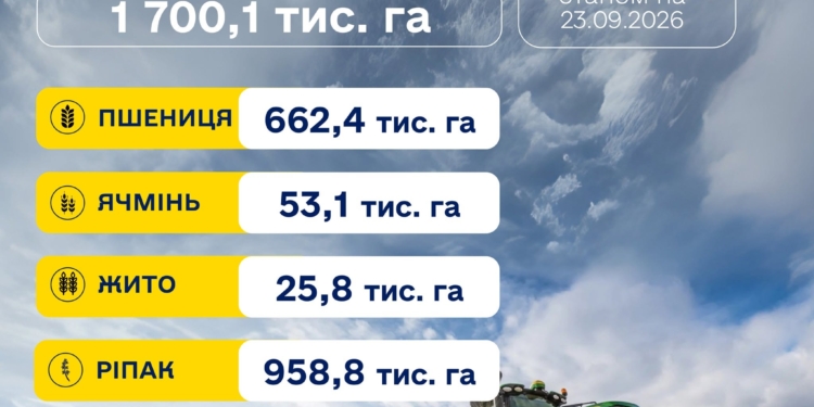 Посівна озимих культур: зерновими засіяно 14% прогнозованої площі, ріпаком – майже 87%
