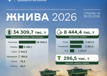 Жнива-2026: в Україні вже зібрано понад 34,3 млн тонн зернових та зернобобових культур і понад 8,4 млн тонн олійних, Миколаївщина – в трійці лідерів
