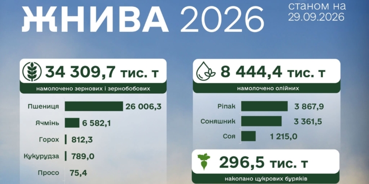 Жнива-2026: в Україні вже зібрано понад 34,3 млн тонн зернових та зернобобових культур і понад 8,4 млн тонн олійних, Миколаївщина – в трійці лідерів