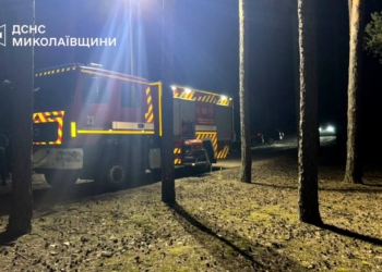 На Миколаївщині в лісовому урочищі зник 5-річний хлопчик – його шукають поліція, рятувальники, лісівники та місцеві мешканці (ФОТО)