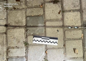 У Миколаєві жінка заколола знайомого шампуром