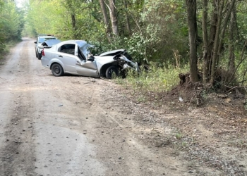 На Миколаївщині у нічній ДТП постраждали водійка автомобіля Chevrolet та її пасажир (ФОТО)