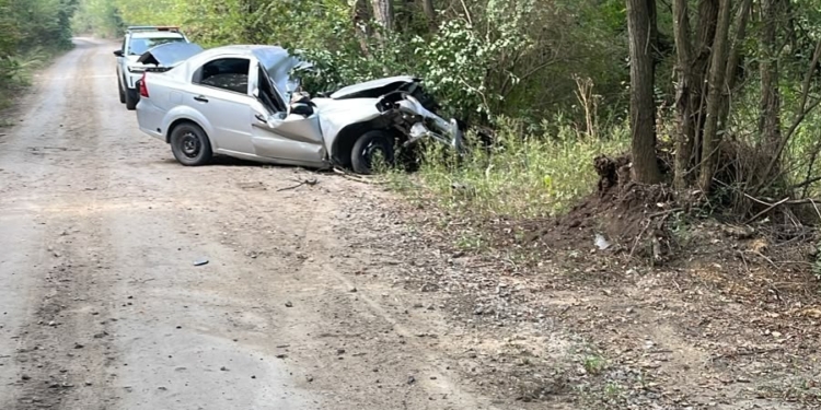 На Миколаївщині у нічній ДТП постраждали водійка автомобіля Chevrolet та її пасажир (ФОТО)