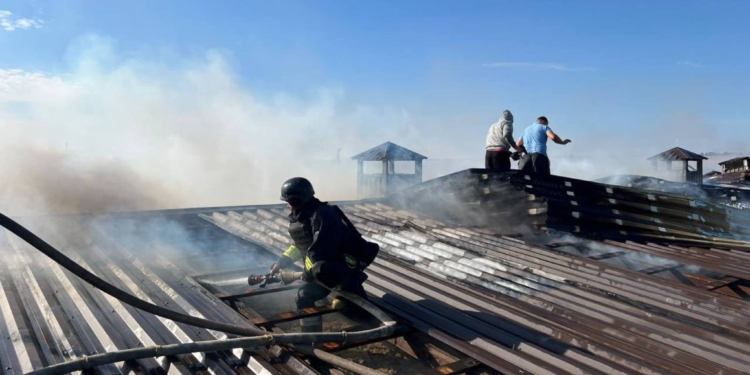 На Одещині ворог вдарив по птахофермі – частина птиці загинула (ФОТО)