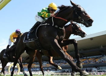 У США власника коня змусили змінити йому ім’я через асоціації з Гітлером