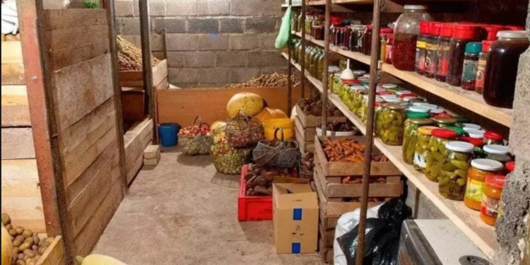 Як підготувати погріб до зими. Особливо для цієї