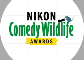 Comedy Wildlife Photography Awards 2026 — оголошені фіналісти конкурсу (ФОТО)