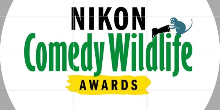 Comedy Wildlife Photography Awards 2026 — оголошені фіналісти конкурсу (ФОТО)