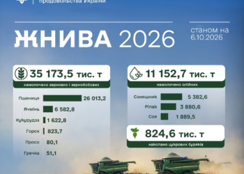 Жнива-2026: українські аграрії зібрали понад 35 млн тонн зернових та зернобобових культур та 11,1 млн тонн олійних