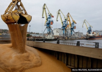 Латвія, Естонія та Литва закликали ЄС заборонити транзит російського зерна