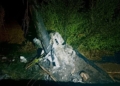 На Миколаївщині BMW влетів у дерево і розколовся навпіл – водій та пасажир загинули (ФОТО)