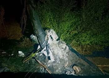 На Миколаївщині BMW влетів у дерево і розколовся навпіл – водій та пасажир загинули (ФОТО)