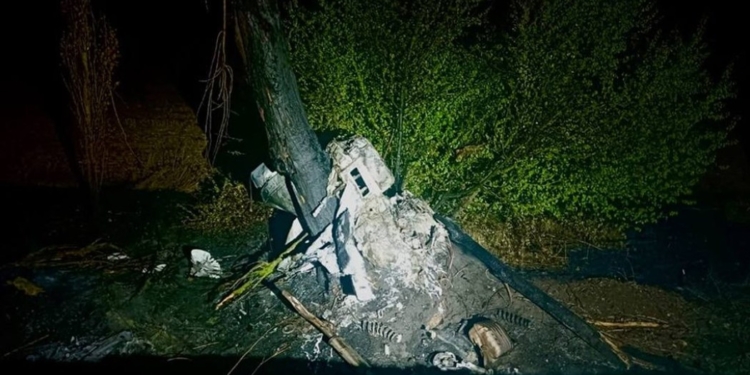 На Миколаївщині BMW влетів у дерево і розколовся навпіл – водій та пасажир загинули (ФОТО)