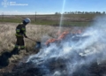 На Миколаївщині гасили 5 пожеж. Що горіло