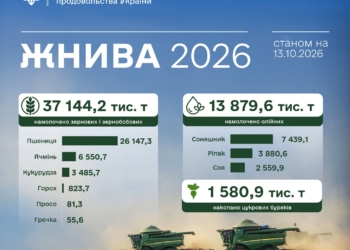 Аграрії зібрали понад 37,1 млн тонн зерна та 13,9 млн тонн олійних культур. Тепер ще б вивезти