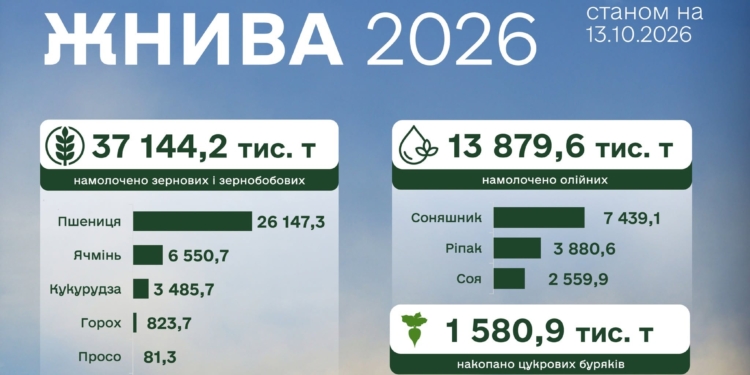 Аграрії зібрали понад 37,1 млн тонн зерна та 13,9 млн тонн олійних культур. Тепер ще б вивезти