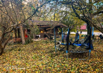 Ворог ударив по парку з людьми на Харківщині – загинули дві жінки і немовля, багато поранених (ФОТО)